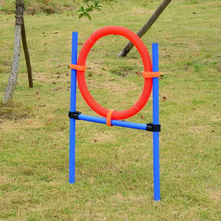 Archie Oscar Elanna Pet Agility Obedience Training Set Reviews Wayfair Co Uk