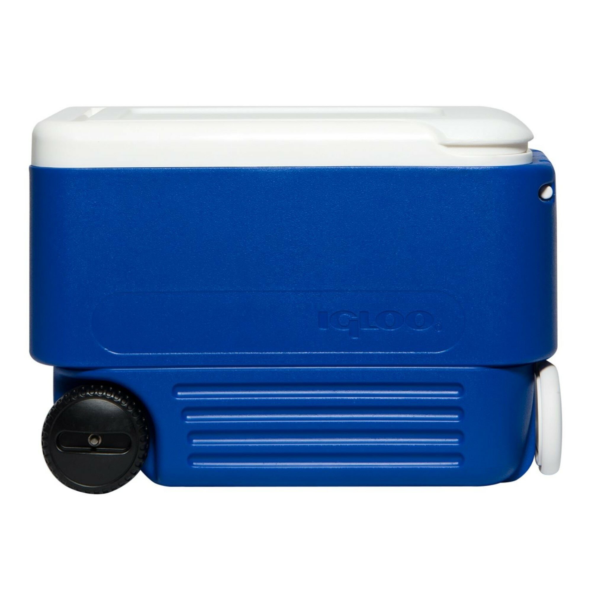 38 qt cooler