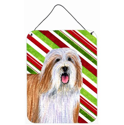 Candy Cane Holiday Christmas Print on Plaque The Holiday Aisle® Dog Breed: Bearded Collie (Brown and White)