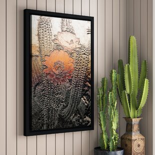 Set of 3 Desert Cactus Nature Photos Southwestern Decor 5x7 Prints 
