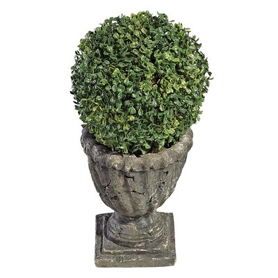 Design Toscano Boxwood Topiary Pot
