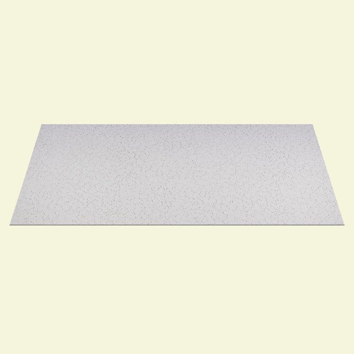 2 Ft X 4 Ft Drop In Ceiling Tile In White