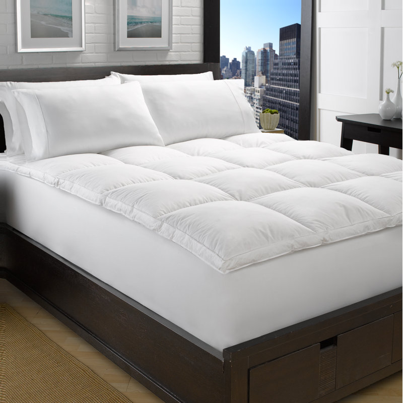 Arsuite Geib Goose Bed 2 Down Feather Mattress Topper Reviews