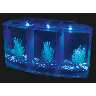 Beta Desktop Aquarium Tank Fish Kit Falls Home Office Childs Room Natural Beauty 