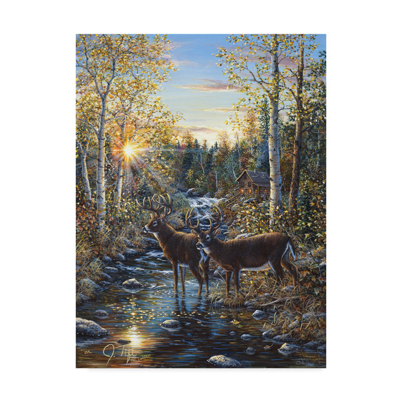 Trademark Art Jeff Tift Whitetail Deer Graphic Art Print On Wrapped Canvas Reviews Wayfair Ca