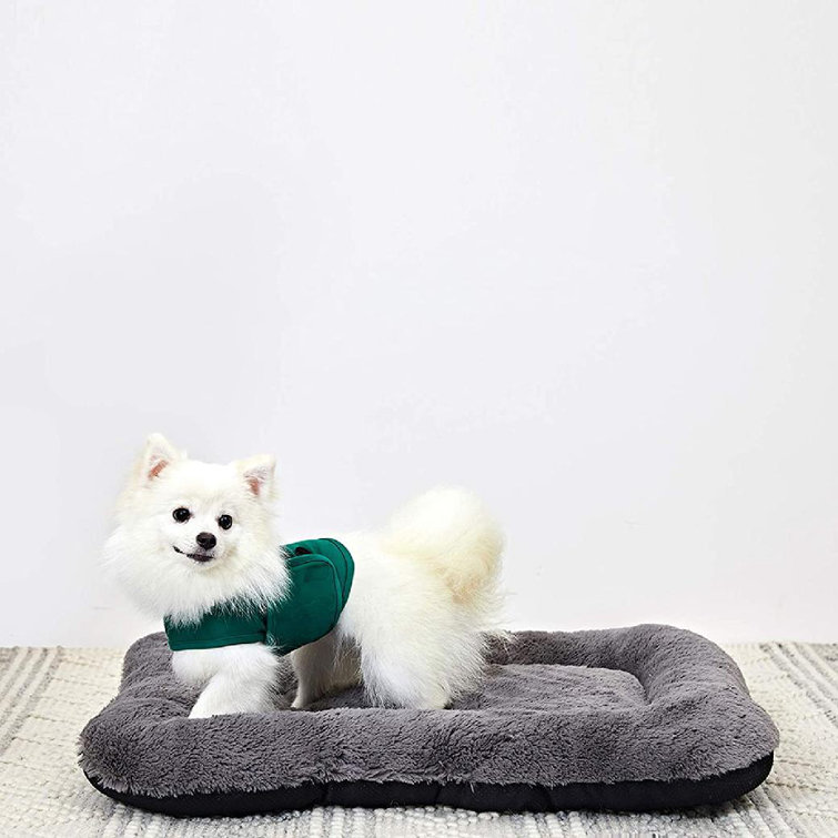 medium sized dog beds