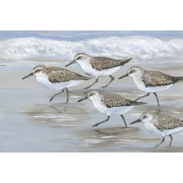 Acrylic Glass Wall Art 'Pebbles and Sandpipers VI' by Lisa Audit
