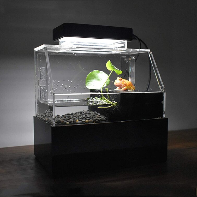 Afslut For tidlig foran Tucker Murphy Pet™ 7.3" ×4.7" ×7.9" Mini Aquarium Fish Tank,Small Fish Tank  With LED Light And Filter Pump Horned Bottom Filter Rearing (Black) |  Wayfair