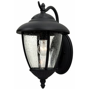 Dowling 1-Light Outdoor Wall Lantern