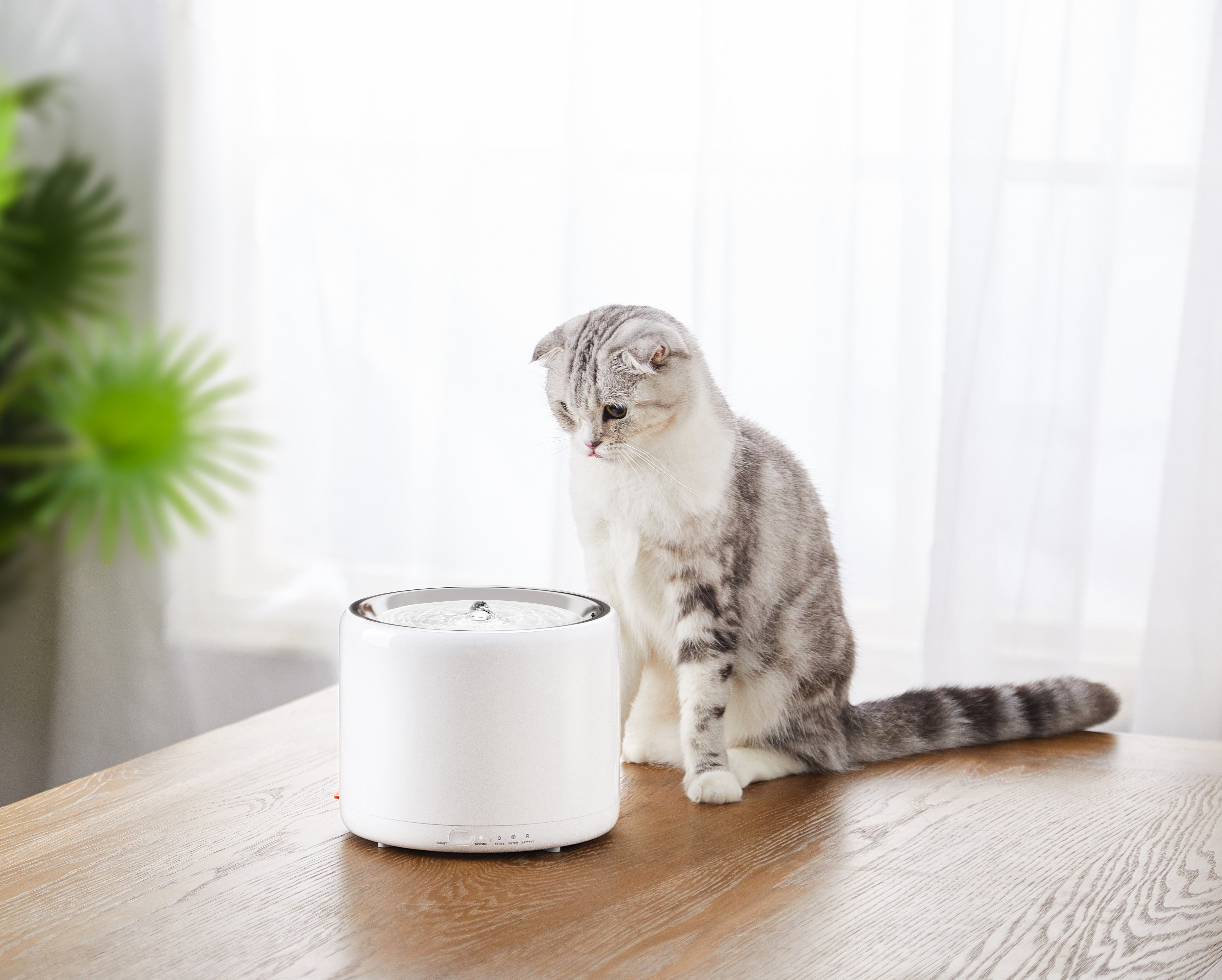 eversweet smart pet drinking fountain