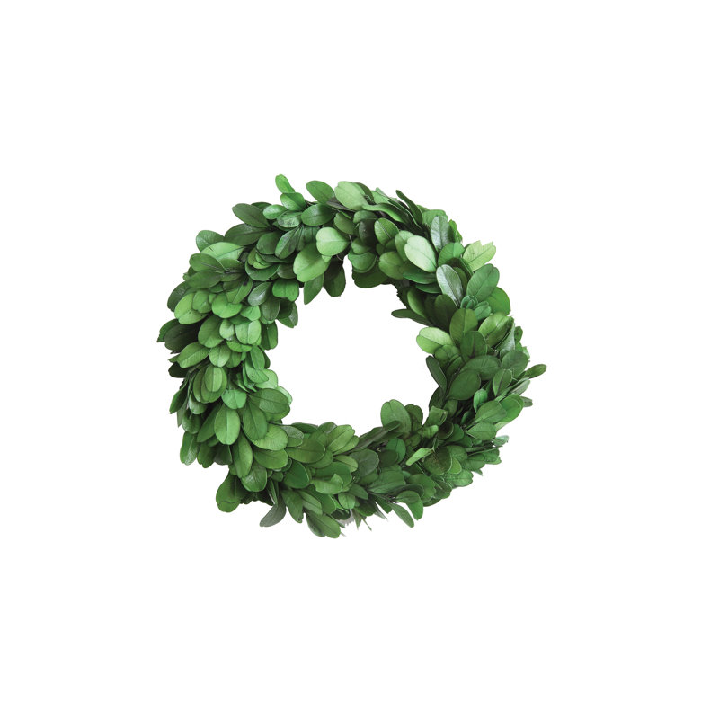 Laurel Foundry Modern Farmhouse Preserved Boxwood Wreath Reviews Wayfair