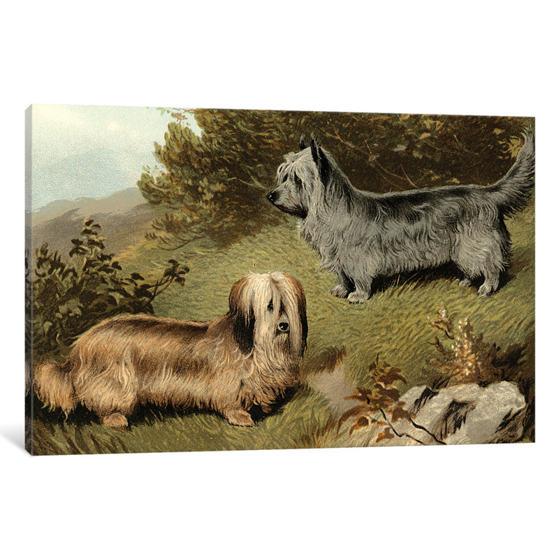 East Urban Home Terriers Painting Print On Wrapped Canvas Wayfair