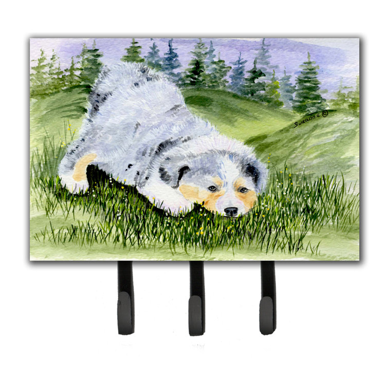 australian shepherd leash