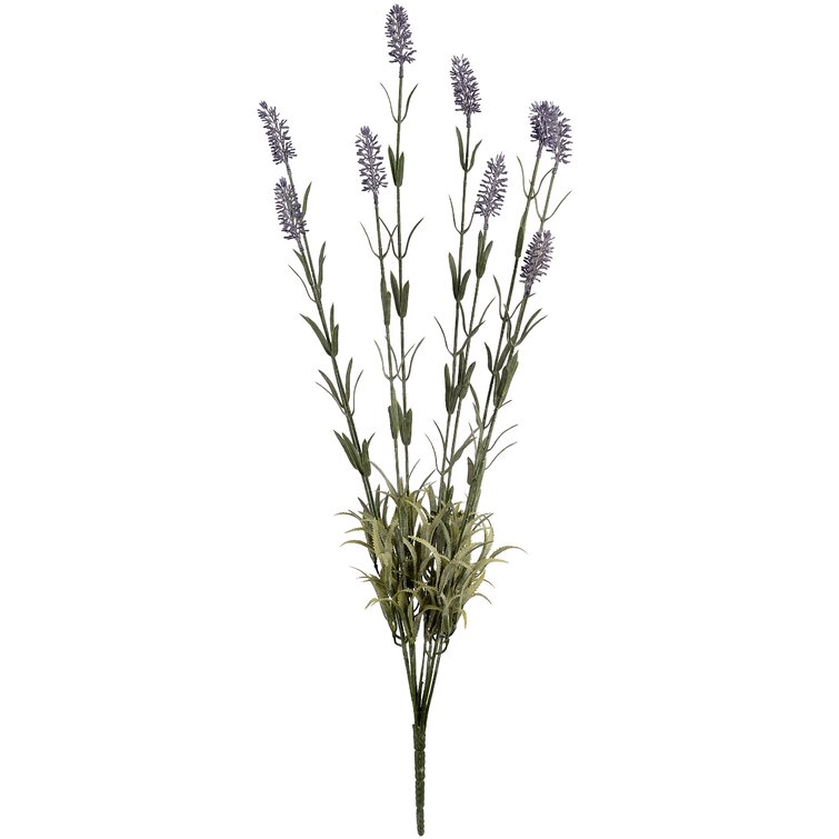 The Recipe Flowers Lavender Spray | Wayfair.co.uk