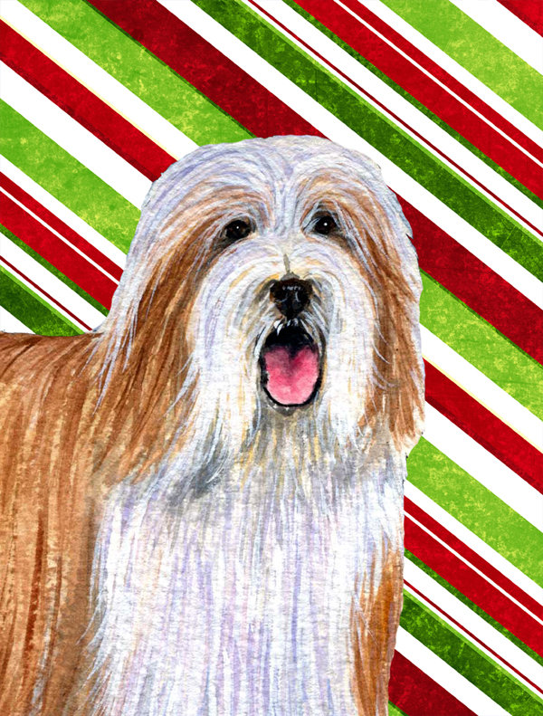 red bearded collie