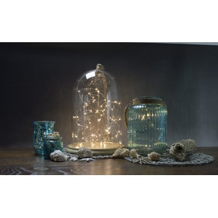 Best Allure 60-Light 20 ft. Fairy String Lights By Boston Warehouse Trading Corp Outdoor Lighting Allure 60-Light 20 ft. Fairy String Lights By Boston Warehouse Trading Corp Outdoor Lighting