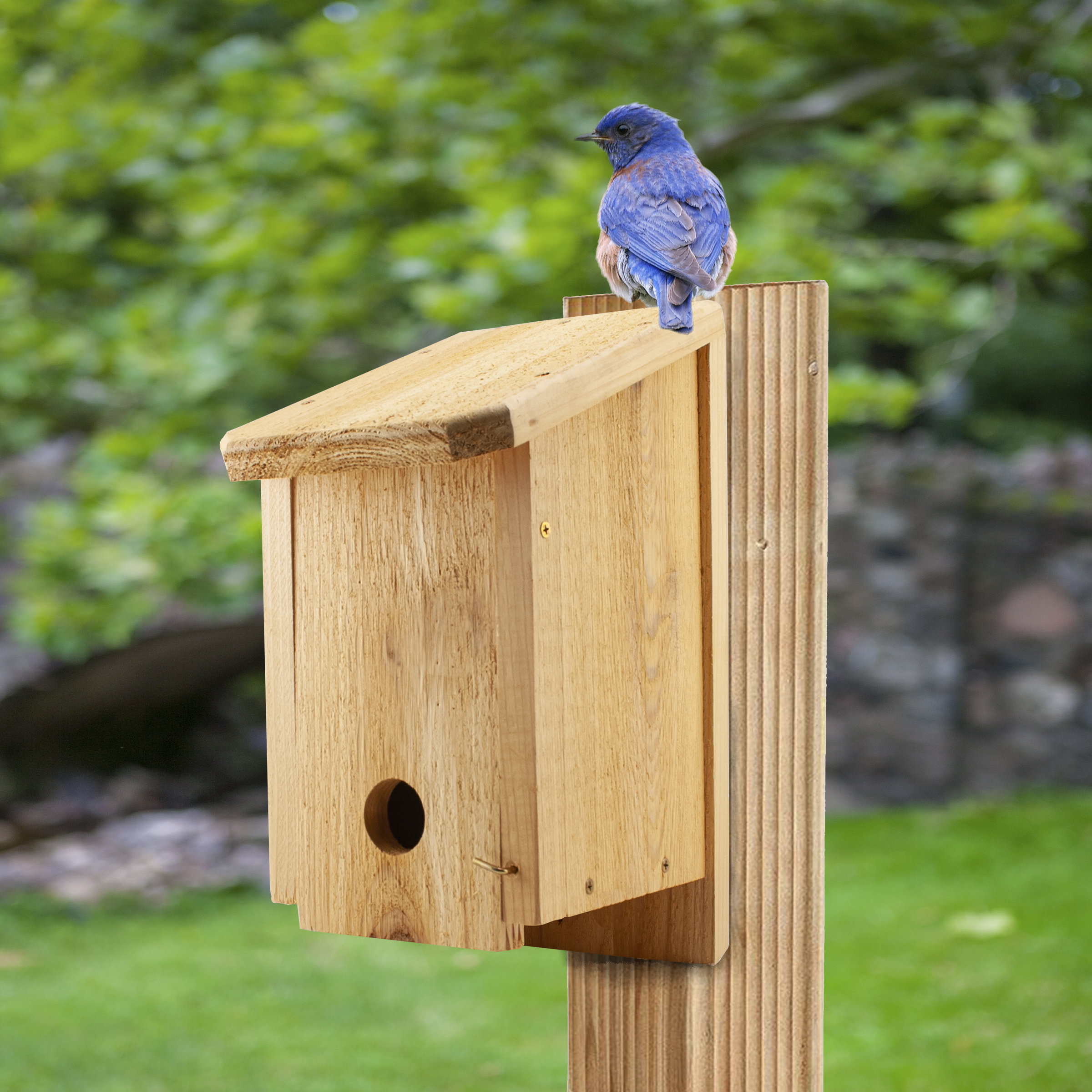 Woodlink Winter Roosting 15 In X 10 In X 6 In Birdhouse Wayfair