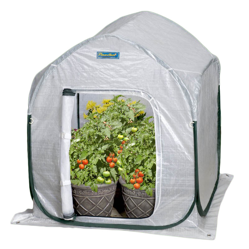 Flowerhouse PlantHouse 2 Ft. W x 2 Ft. D Mini Greenhouse ...