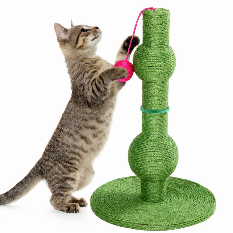 cat scratching post rope