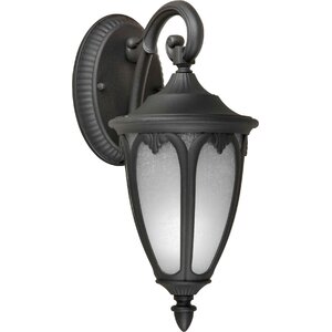 1-Light Outdoor Wall Lantern