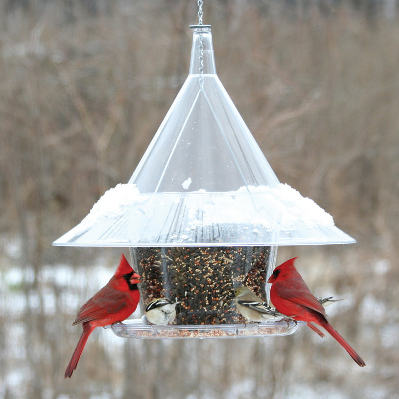 Sky Cafe Hopper Bird Feeder