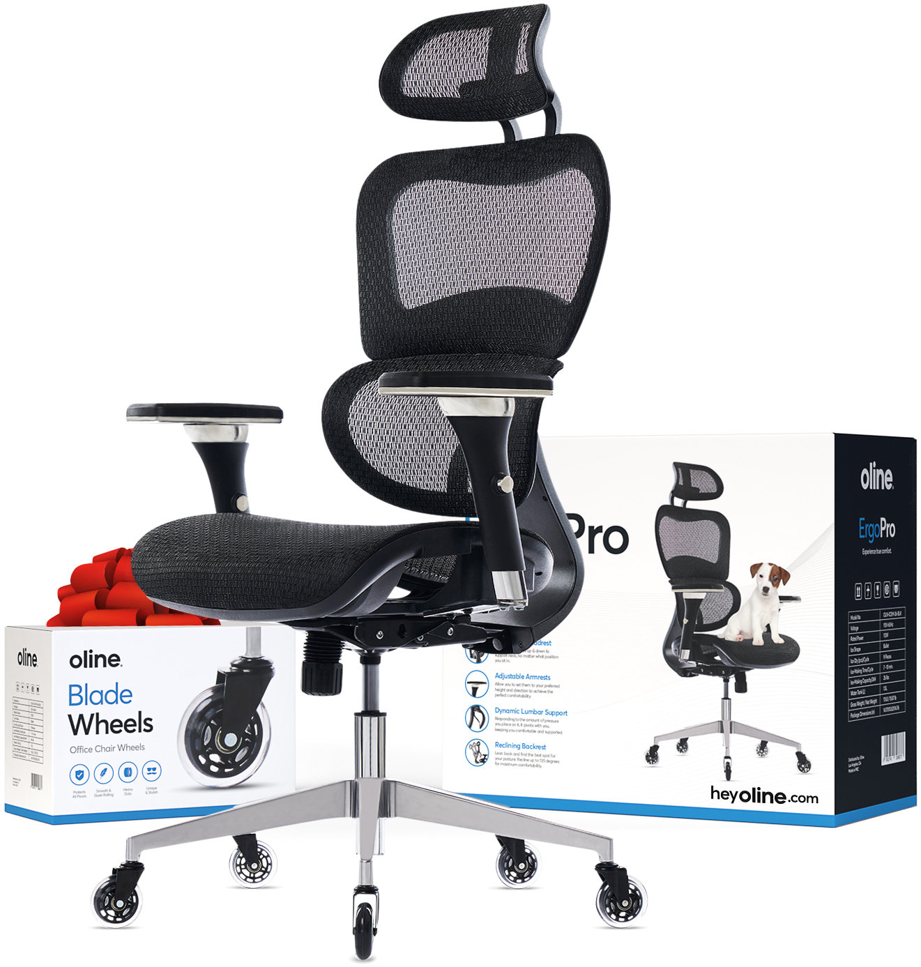 Oline ErgoPro Rolling Ergonomic Mesh Executive Office Chair & Reviews