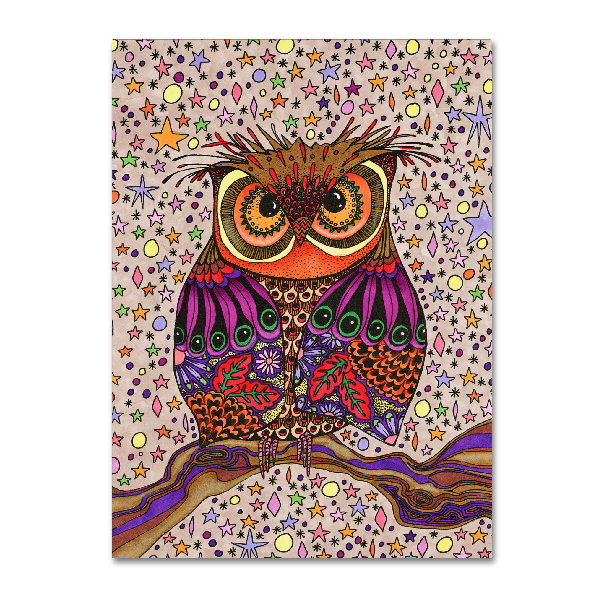 Trademark Art Starry Night Owl Graphic Art Print On Wrapped Canvas Wayfair