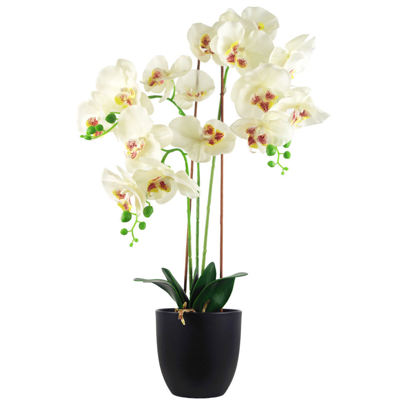 The Seasonal Aisle Orchids Floral Arrangement In Pot Reviews Wayfair Co Uk