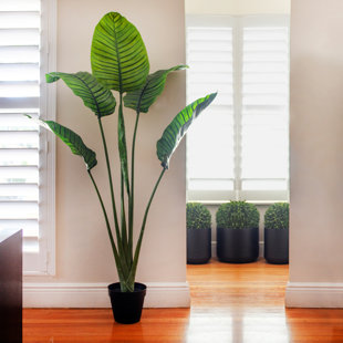 60" Artificial Palm Tree in Pot