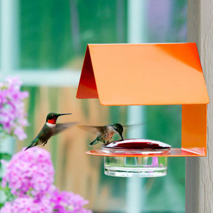 Orange Bird Feeders You Ll Love In 2020 Wayfair