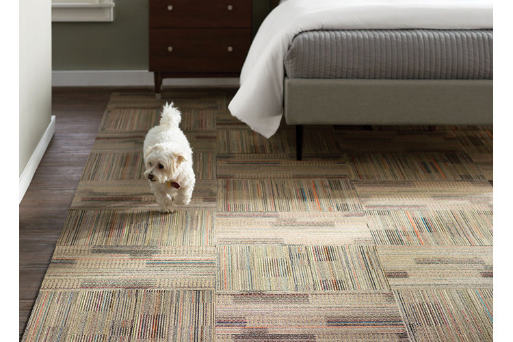 Vástago Contribuir a pesar de How to Choose the Best Carpet Tiles for Your Room | Wayfair