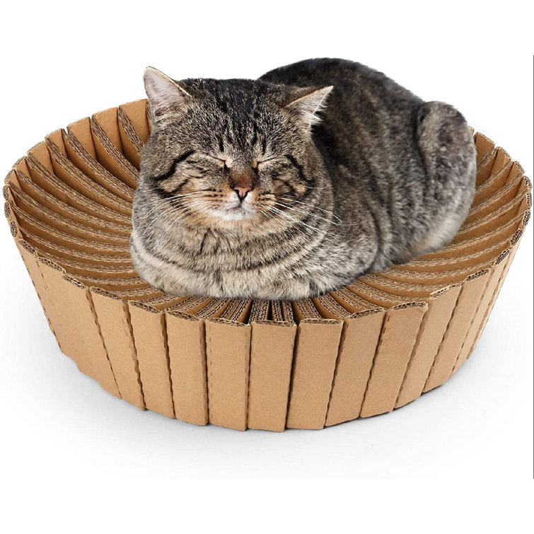 round cardboard cat bed