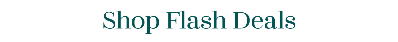 Flash Deals Standard Banner