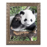 Bear Portrait Photography You Ll Love In 2021 Wayfair