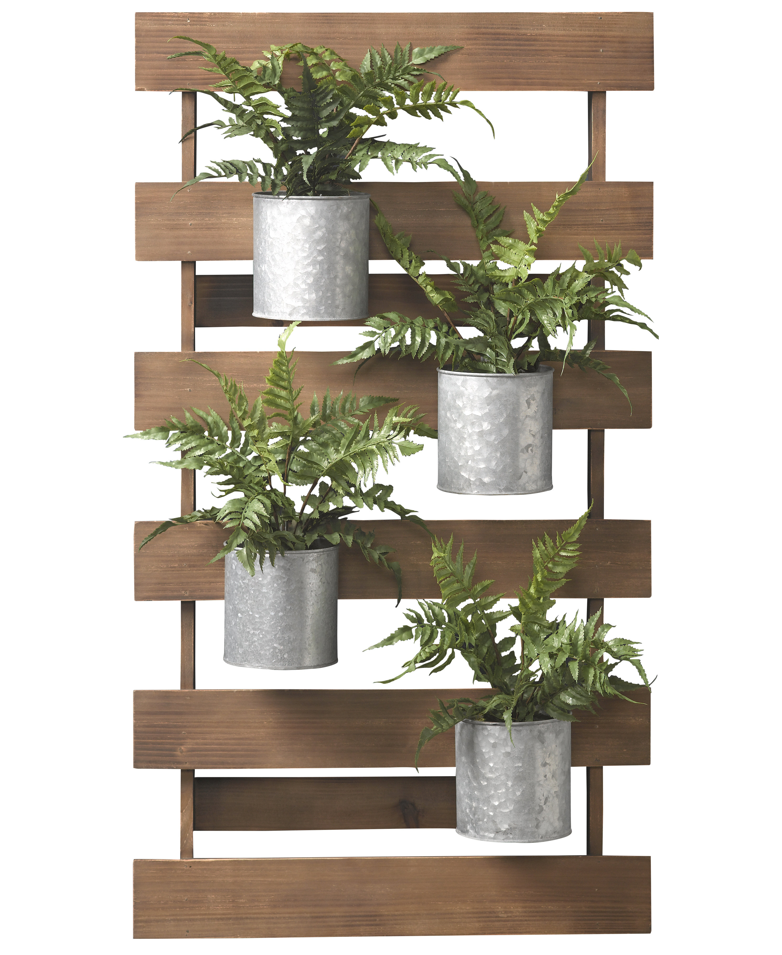 wayfair standing planter on Gracie Oaks Fern Hanging Plant In Planter Reviews Wayfair