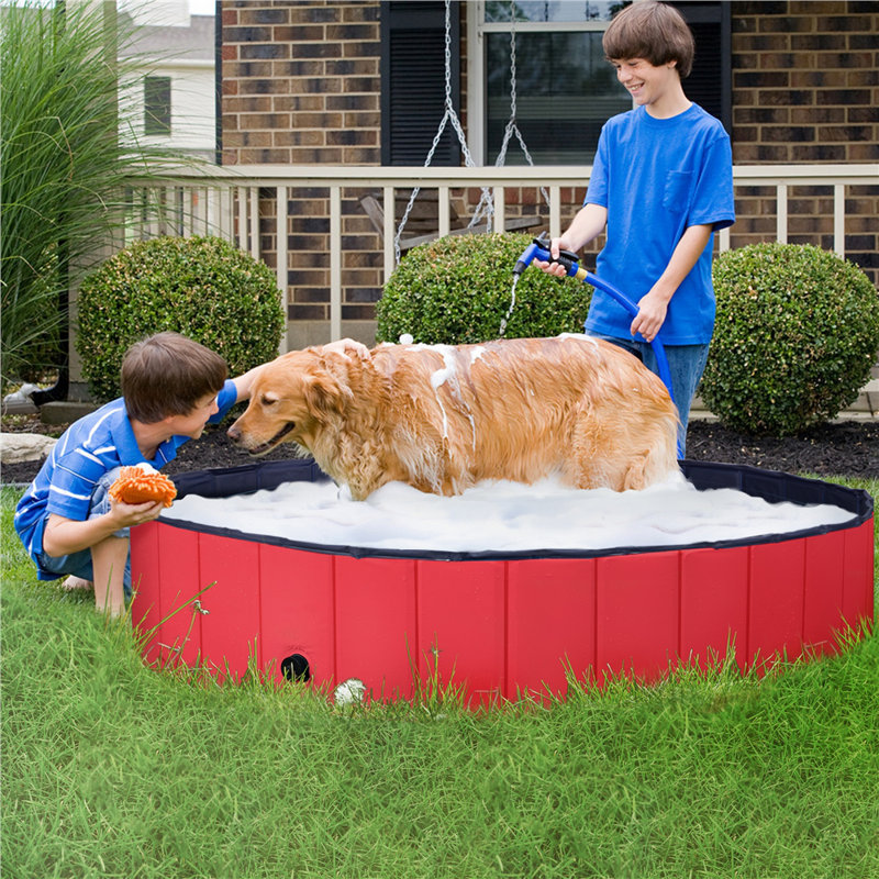 Yaheetech Pet Swimming Pool Pvc Bathtub For Dogs Cats Kids Reviews Wayfair
