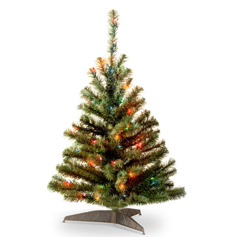 Ebern Designs Kincaid Spruce 3' Green Spruce Artificial Christmas Tree