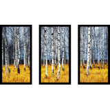 Framed Birch Tree Paintings Wayfair