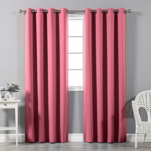 Xhilaration Window Panel Tasseled Sheer Pink Black or Blue Tassel Curtain NEW 