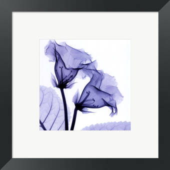Evive Designs Small Orchid Opulence Ii P By Jennifer Goldberger Framed Graphic Art Wayfair