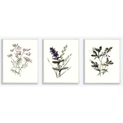 'Floral Botanical Illustrations' 3 Piece Graphic Art Print Set Charlton Home® Format: Wall Plaque, Size: 15