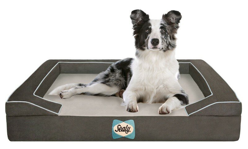 covered dog bed medium