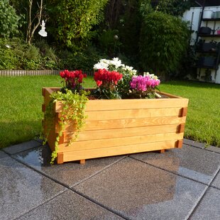 Lucca Planter Box By Freeport Park