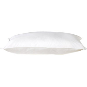 All Season Down Alternative Pillow (Set of 2) by Alwyn Home