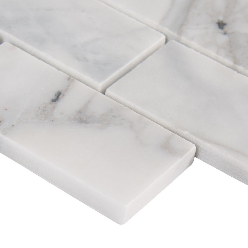 Msi Calacatta Cressa Honed 2 X 4 Marble Subway Tile Reviews Msi Calacatta Cressa Honed 2 X 4