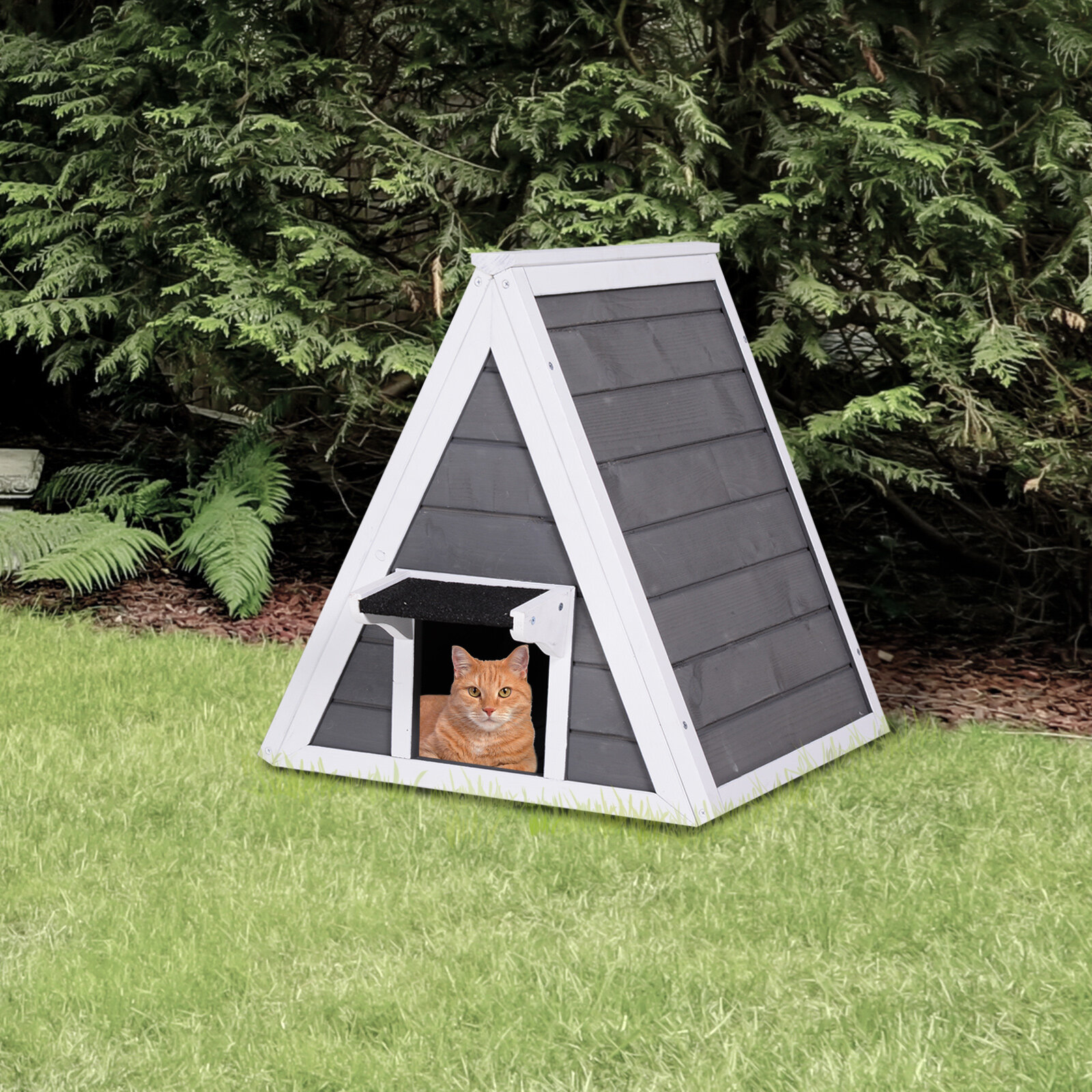 cat out house