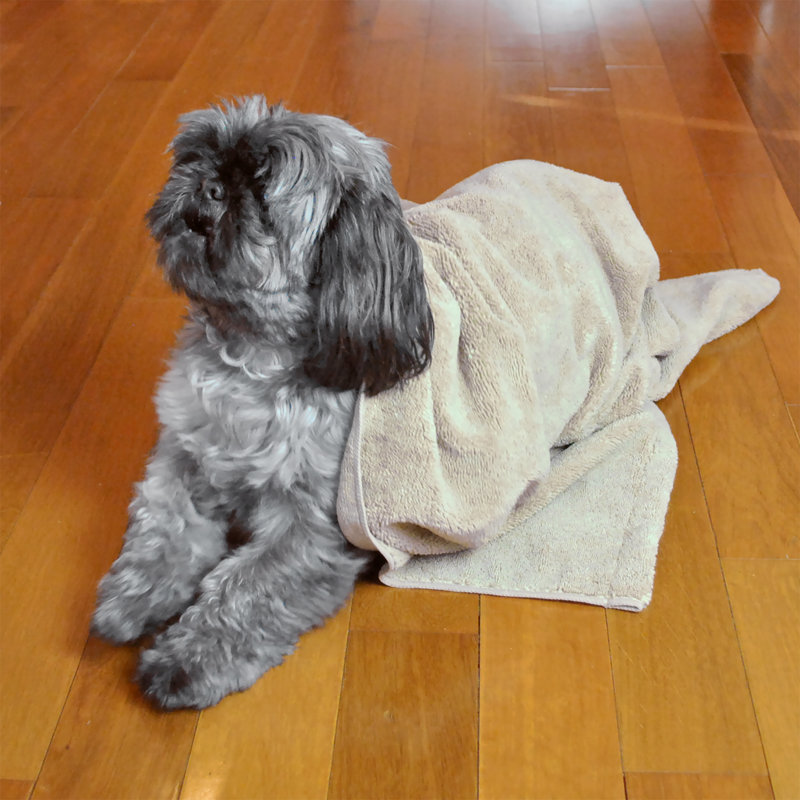 dog bath towels