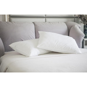 Natural Duck Feather Memory Foam Jumbo Pillow (Set of 2) by St.James Home