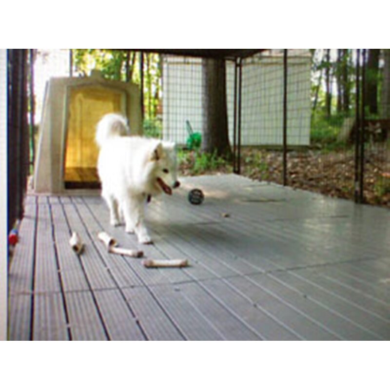 allie yard kennel digging prevention system