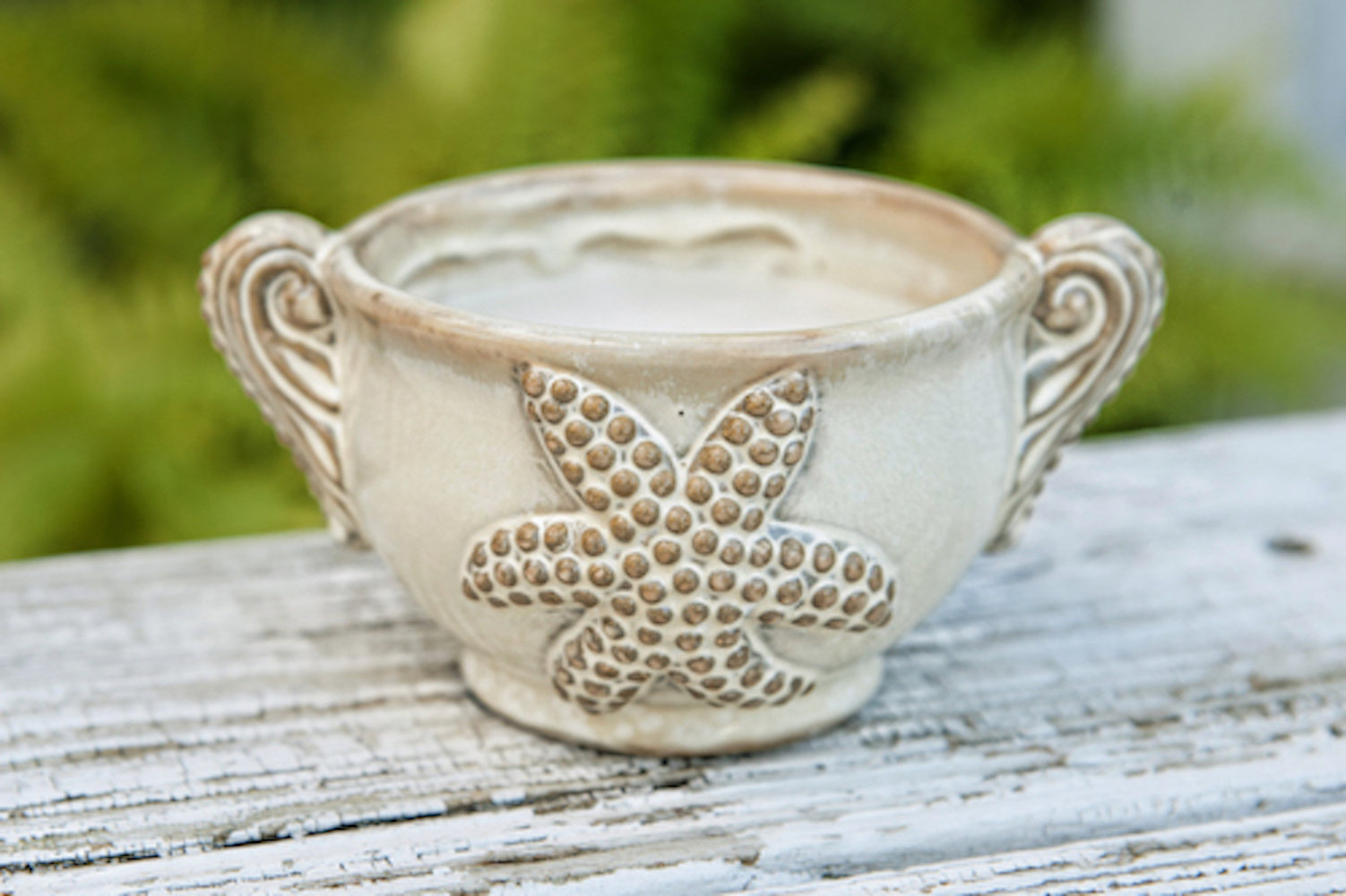 Highland Dunes Citronella Candles In Decorative Ceramic Holder W